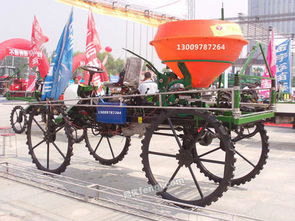 黑龍江稻谷圖片供求信息平臺