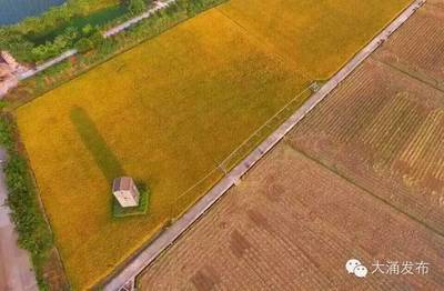 不用自己動手，你也可以擁有自己的田塊和土雞！