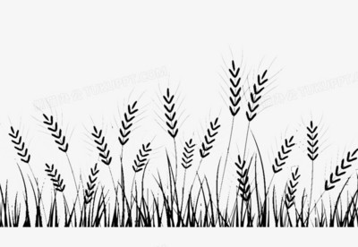 優(yōu)質(zhì)水稻PNG素材 免費(fèi)下載與創(chuàng)意應(yīng)用指南